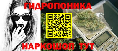 скорость Кингисепп