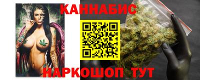 скорость Кингисепп