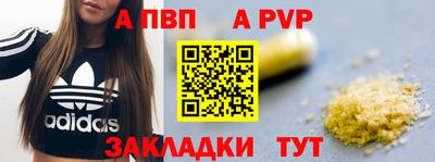 скорость Кингисепп