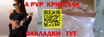 скорость Кингисепп