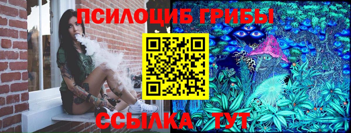 Галлюциногенные грибы Psilocybe Воронеж