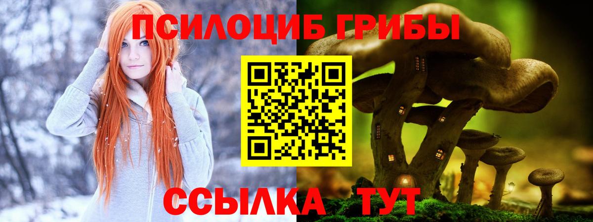даркнет сайт  Псилоцибиновые грибы мухоморы  Вход с VPN  Воронеж 